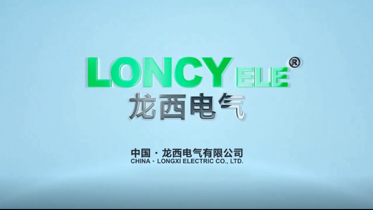 Longxi Electric Co., Ltd